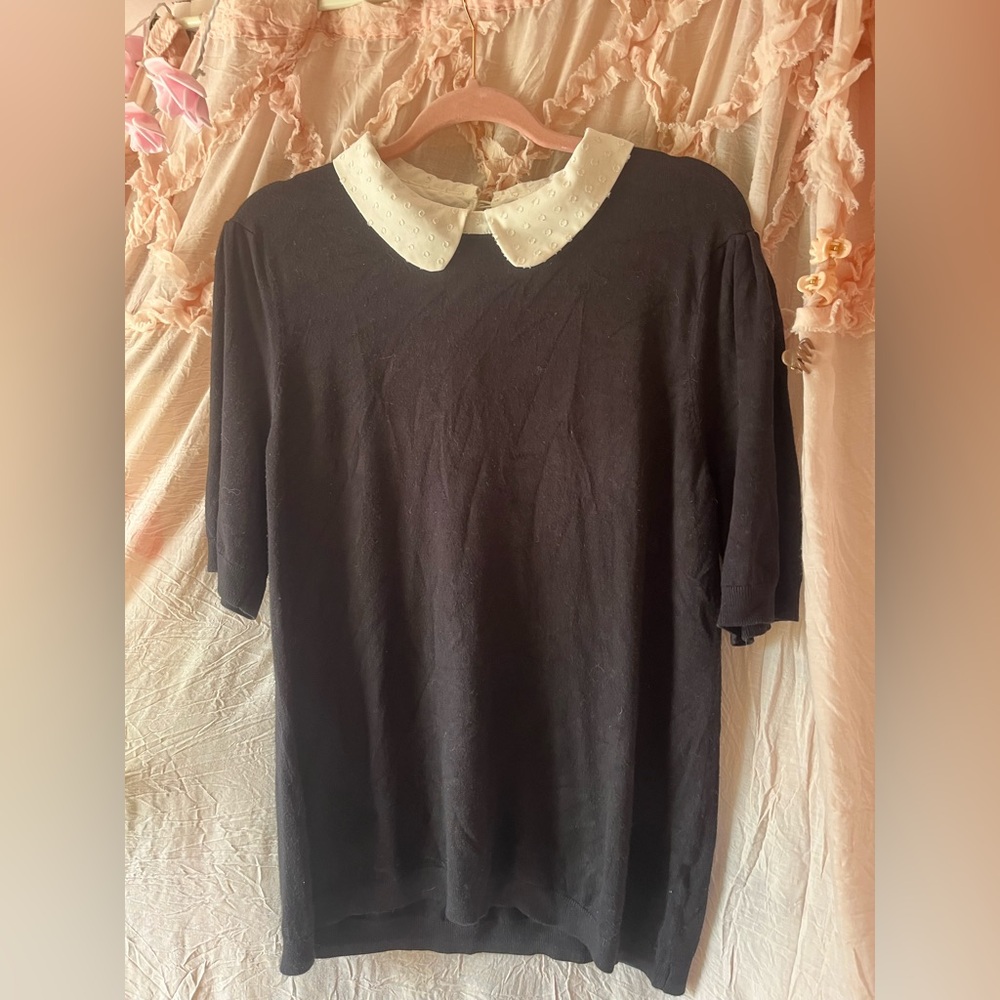 Adrianna Papell Black Top with White Dot-Textured Peter Pan Collar
